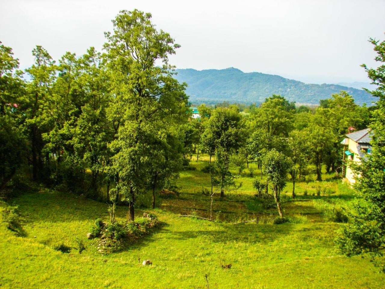 Travelodge Homestay บีร์ ภายนอก รูปภาพ